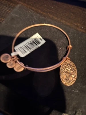 NUEVO CON ETIQUETAS Pulsera Alex And Ani Friend Charm Chapada en Oro Rosa INSPIRADOR APOYO LEAL Foto 1 de 4
