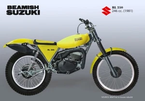 SHOCKS SUZUKI BEAMISH TRIAL COMPETITION REAR GAS RL325 RL250 NEW - Picture 1 of 12