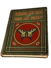 Friends and Foes in Field and Forest; by Vesta J. Farnsworth Antique Book 1913