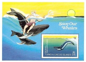 👉 TURKS & CAICOS 1984 WHALES S/S MNH ANIMALS MARINE LIFE - Picture 1 of 1
