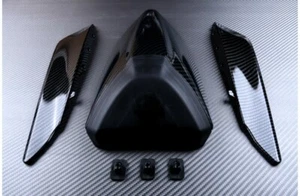 Unghia Monoposto / Cover Sella + Wings Carbonio DUCATI PANIGALE 959 HA 2015-2019 - Picture 1 of 2