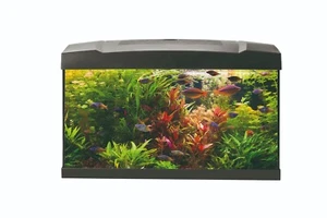 Aquarium Set 60x30x31,5cm inkl. LED Abdeckung, Filter, Heizer, Thermometer, Netz - Bild 1 von 6