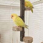 Bird Stand Perch Wood Rotating for Parrots & Parakeets