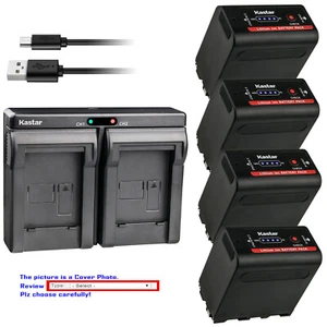 Kastar Battery USB Dual Charger for Sony NP-F960 DSR-300 DSR-PD100 DSR-PD150 - Picture 1 of 14