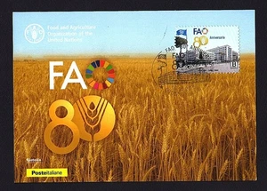Italia 2025 : FAO - Cartolina Poste Italiane - Imagen 1 de 1