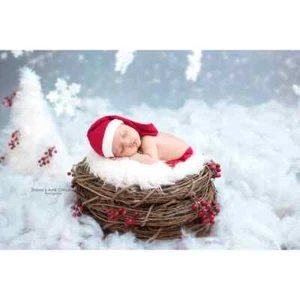 NEW White Mongolian Faux Fur and Wood Branch Nest Photography Prop - Picture 1 of 2