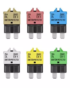LENKRAD Resettable Fuse Assortment 5A 10A 15A 20A 25A 30A 28VDC Blade Fuses Kit - Picture 1 of 6