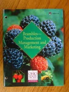 Brambles Production Management and Marketing raspberry blackberry botany farm - Picture 1 of 1