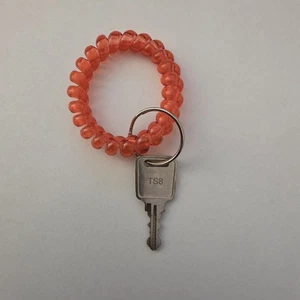 Sentry Safe Master Lock Replacement Key #TS8 for Safe Cash Box Key Box - Picture 1 of 6