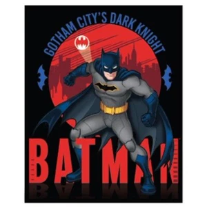 DC Comics Batman Silky Throw Soft Blanket 40" x 50" Gotham City's Dark Knight - Picture 1 of 1
