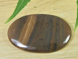 34X53X06MM Dendrita Miel Natural Forma Ovalada Cabujón Piedra Preciosa Suelta 94Cts. S235 - Imagen 1 de 9