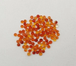 Lote de 116 piezas de piedras preciosas sueltas cabujón redondo cornalina natural 3-3,50 mm - Imagen 1 de 4