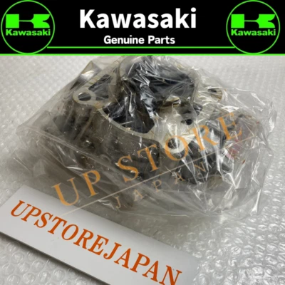 2006 - 2013 GENUINE KAWASAKI KX85 KX 85 ENGINE CYLINDER 11005-0052 - image 1 of 4