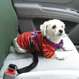 Adjustable Dog Cat Pet Car Safety Seat Belt Seatbelt Harness Leash Lead Black