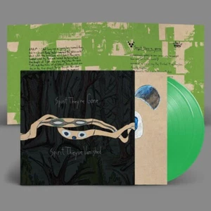 ANIMAL COLLECTIVE SPIRIT THEY'RE GONE THEY'RE VANISHED 2LP GREEN VINYL SEALED - Foto 1 di 1