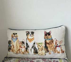 The Humane Society 26” Embroidered Dog Cushion Pillow Sunglasses & Bandanas Rare - Picture 1 of 9