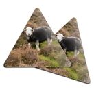 2x Triangle Coaster - Herwick Sheep Lamb Sheep #45324