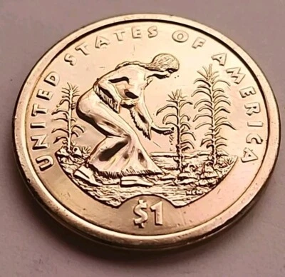 2009 D Sacagawea Native American Agriculture Golden One Dollar Coin Sac470 - Image 1 of 2