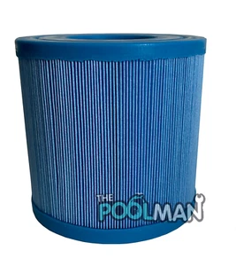 Filtro antimicrobico di ricambio piscina/spa per C-4310, C4310, FC-3077 o PWW10-M - Foto 1 di 1