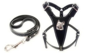Black Leather Dog Harness with French Bulldog Badge and Matching Leather Lead - Picture 1 of 1