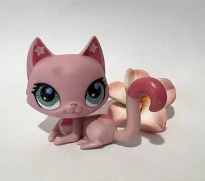 Littlest Pet Shop  #2851 Cat - Picture 1 of 3