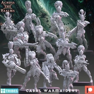 Cabal Warmaidens w/ NSFW x12  | Across the Realms | Wargaming | Grimdark | 32mm - Picture 1 of 13