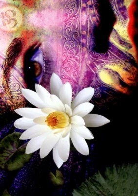 TREE FREE GREETINGS Full Moon Lakshmi - Tree Free Greeting Card - 14118