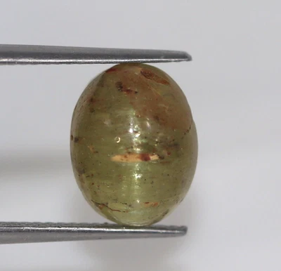 Loose 6.70 Ct Certified Natural Green Cat’s Eye Chrysoberyl Oval Cab Gemstone - Image 1 of 4
