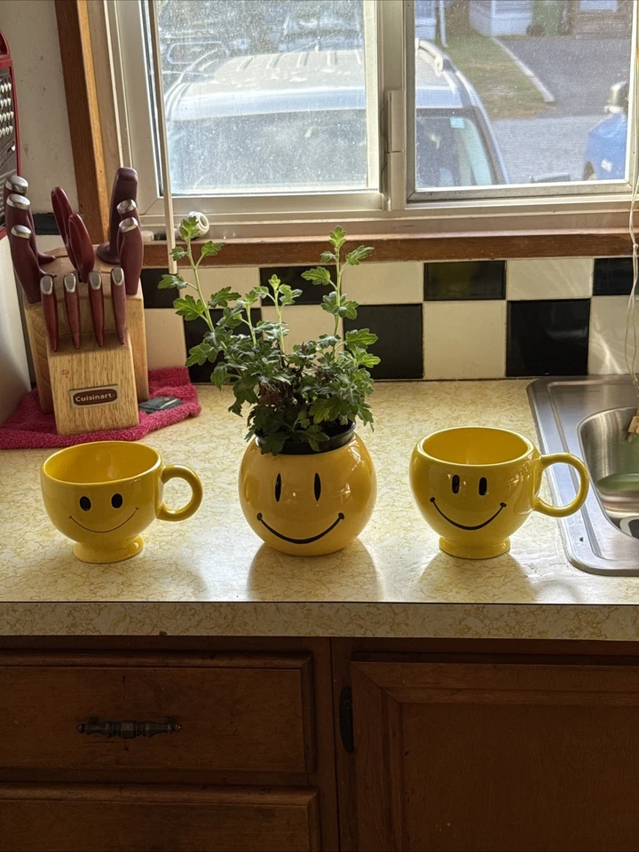 Taza de café de gran tamaño cara sonriente amarilla maceta marca Teleflora 16 OZ Foto 1 de 1