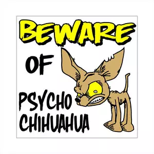 Psycho CHIHUAHUA Vorsicht vor Hund VORSICHT SPASS! Schild 12"x12 - Bild 1 von 1