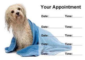 Dog Groomer Grooming Personalised Appointment Cards - Picture 1 of 1