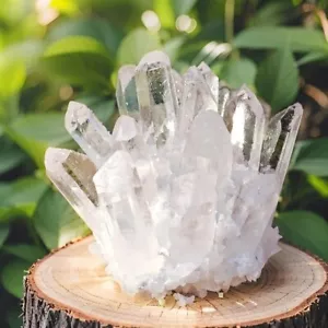 310G+ New Clear White Crystal Healing Cluster Mineral Rock Specimen Energy Decor - Picture 1 of 6