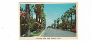 Galveston, Texas / Residential Street Scene / Mid Century Postkarte - Bild 1 von 2