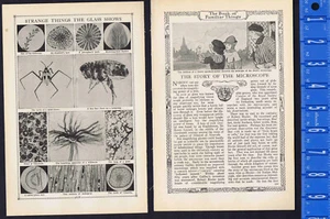 The History & Invention of the Microscope -- Robert Hooke -1929 Article - Picture 1 of 3