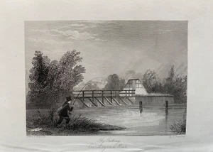 1841 Antique Print; Fly Fishing, Carthagena Weir, Hertfordshire after Beckwith - Picture 1 of 2