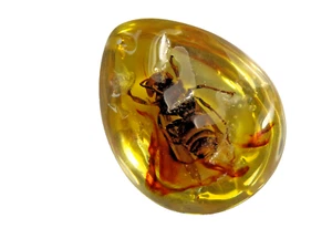 Beautiful Large Artificial Amber With Real Hornet Fossil Insects - Picture 1 of 23