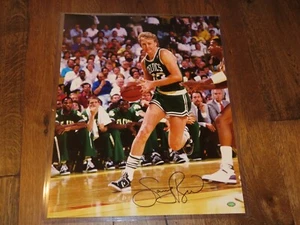 Foto firmada por Larry Bird de los Boston Celtics 16x20 autografiada recuerdos montados certificado de autenticidad 1A - Imagen 1 de 6