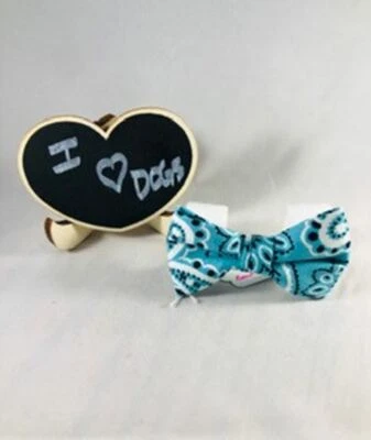 Pajarita de cachemira azul verdoso Foto 1 de 3