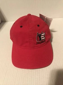 CHASE AUTÉNTICO - NASCAR - SOMBRERO - DALE WONHARDT #3 - TALLA ÚNICA (2-SOMBREROS-22) - Imagen 1 de 6