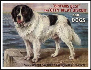 NEWFOUNDLAND HARBOUR SCENE VINTAGE STYLE DOG FOOD ADVERT ART PRINT POSTER - Picture 1 of 1