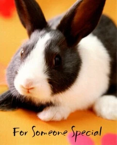 Happy Easter Someone Special Bunny Rabbits Theme Hallmark Greeting Card - Picture 1 of 3