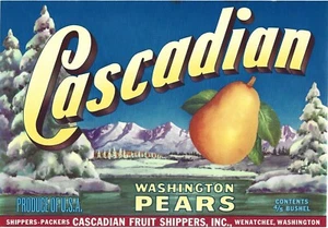 Vintage Large CASCADIAN BOX LABEL Made in Wenatchee Washington Pears Fruit 🍐🍎 - Picture 1 of 1