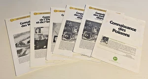 Konvolut 6 Alben Schokolade Fohlen Wissen UNVOLLSTÄNDIG. - Bild 1 von 4