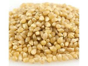 Medium White Bulk Popcorn 1 Pound Popcorn Kernels - Picture 1 of 1