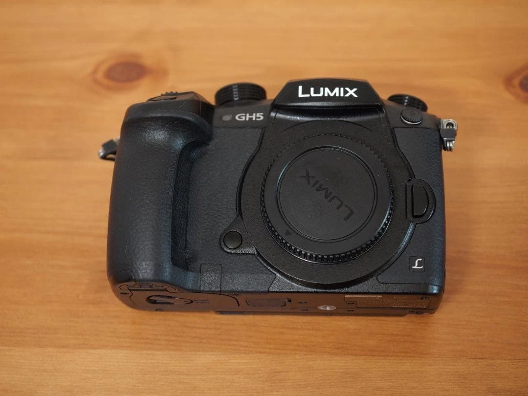 Panasonic LUMIX GH5 Digital Cameras for Sale | Shop New & Used