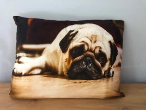 NEXT Pug Cushion Rectangular 43 x 33 cm 100% Cotton Cover + Polyester Cushion - Picture 1 of 5