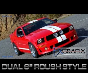 2010 - 2012 Ford Mustang Dual 6" Roush Style Stripe Kit Quality Stripes - Picture 1 of 3