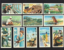 CIGARETTE/TRADE/CARDS.Seymour Mead Tea.THE ISLAND OF CEYLON.(1961).(Set of 24).