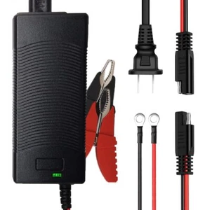 12V 3Amp Lithium LiFePO4 Battery Charger 14.6V Smart Charger 12.8V Lithium Ir... - Picture 1 of 5