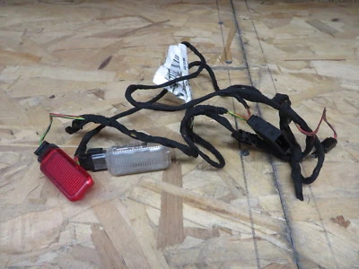 ARNÉS ILUMINACIÓN PUERTA AUDI A6 A 6 99 1999 + LUCES CORTESÍA CONDUCTOR LH Foto 1 de 4